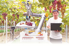 <b>由一般从动化向高度智能化改变 更伶俐的农业机</b>