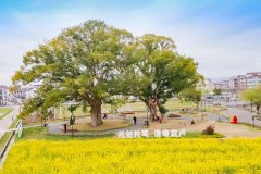 东阳：诗礼传家 清风廉韵